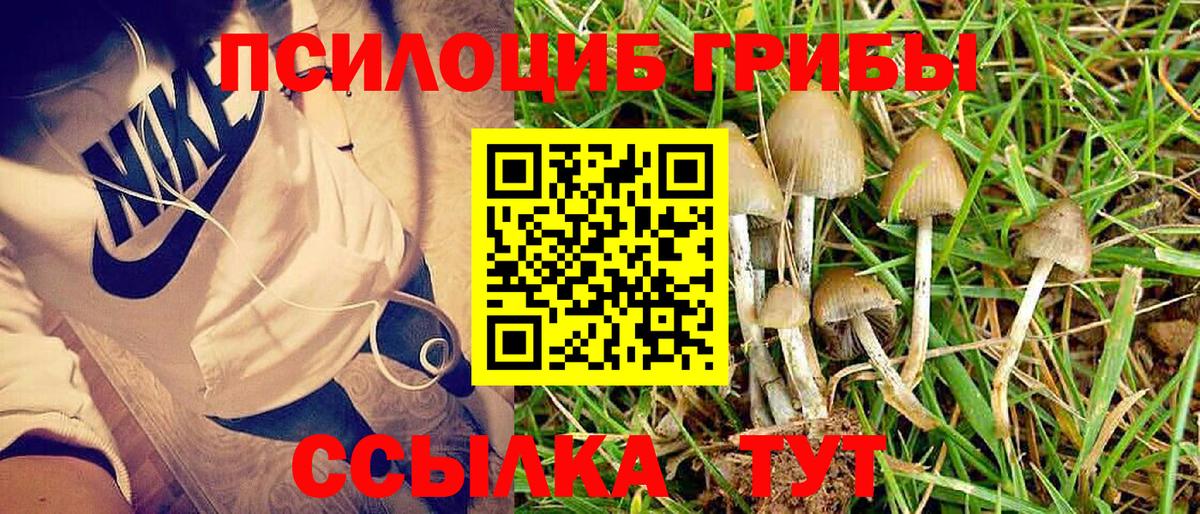 Печора  Галлюциногенные грибы ЛСД  сколько стоит  Вход с VPN 
