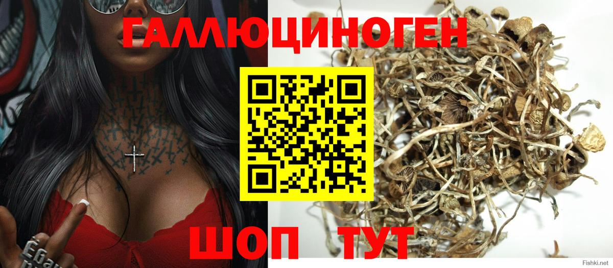 Галлюциногенные грибы Cubensis Печора